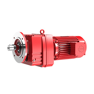 RX 系列斜齒輪減速機